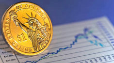 Валютный рынок Форекс в России 20100603 - Валютный рынок Форекс в России