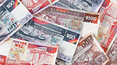 Сингапурский доллар 20150317 - Сингапурский доллар